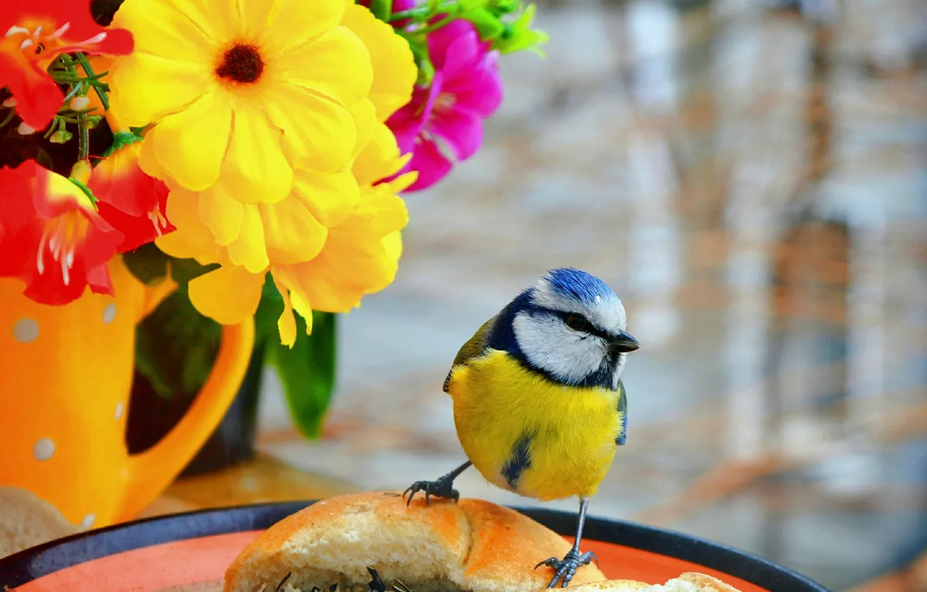 Фото обои Птичка, Цветочки, Flowers, Bird