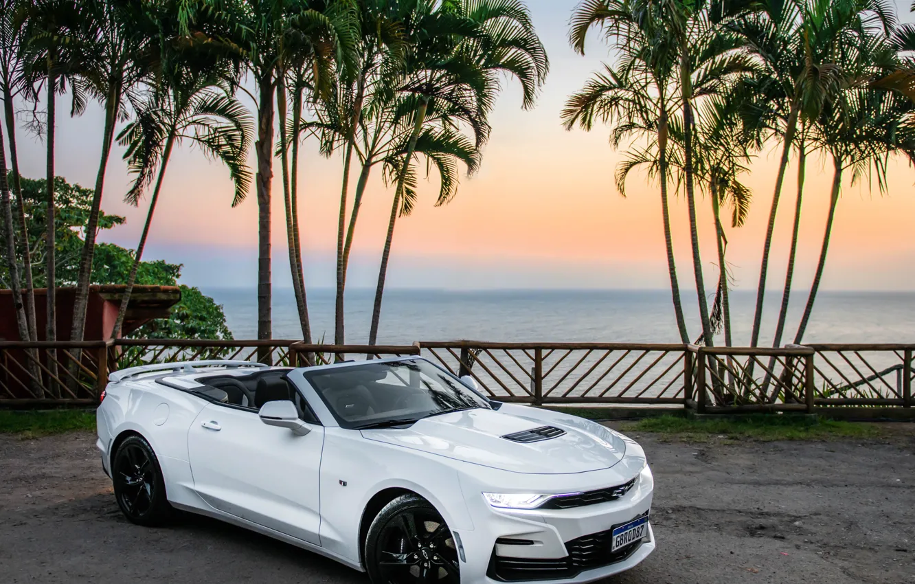 Фото обои Chevrolet, Camaro, white, sea, palm trees, Chevrolet Camaro SS Convertible