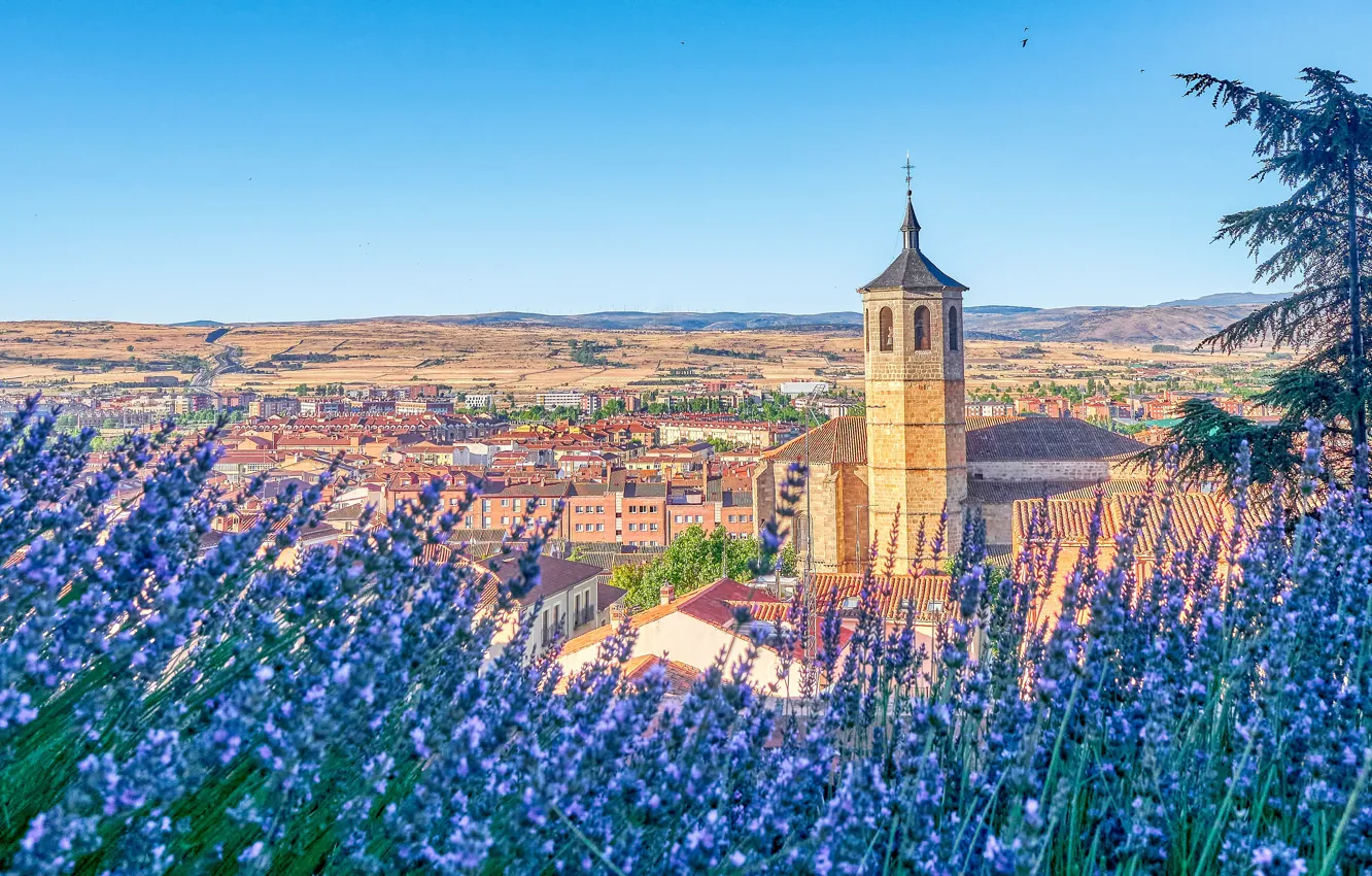 Фото обои цветы, дерево, здания, башня, дома, церковь, панорама, Испания
