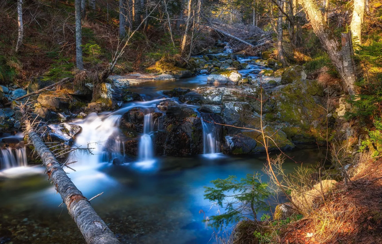 Фото обои озеро, ручей, водопад