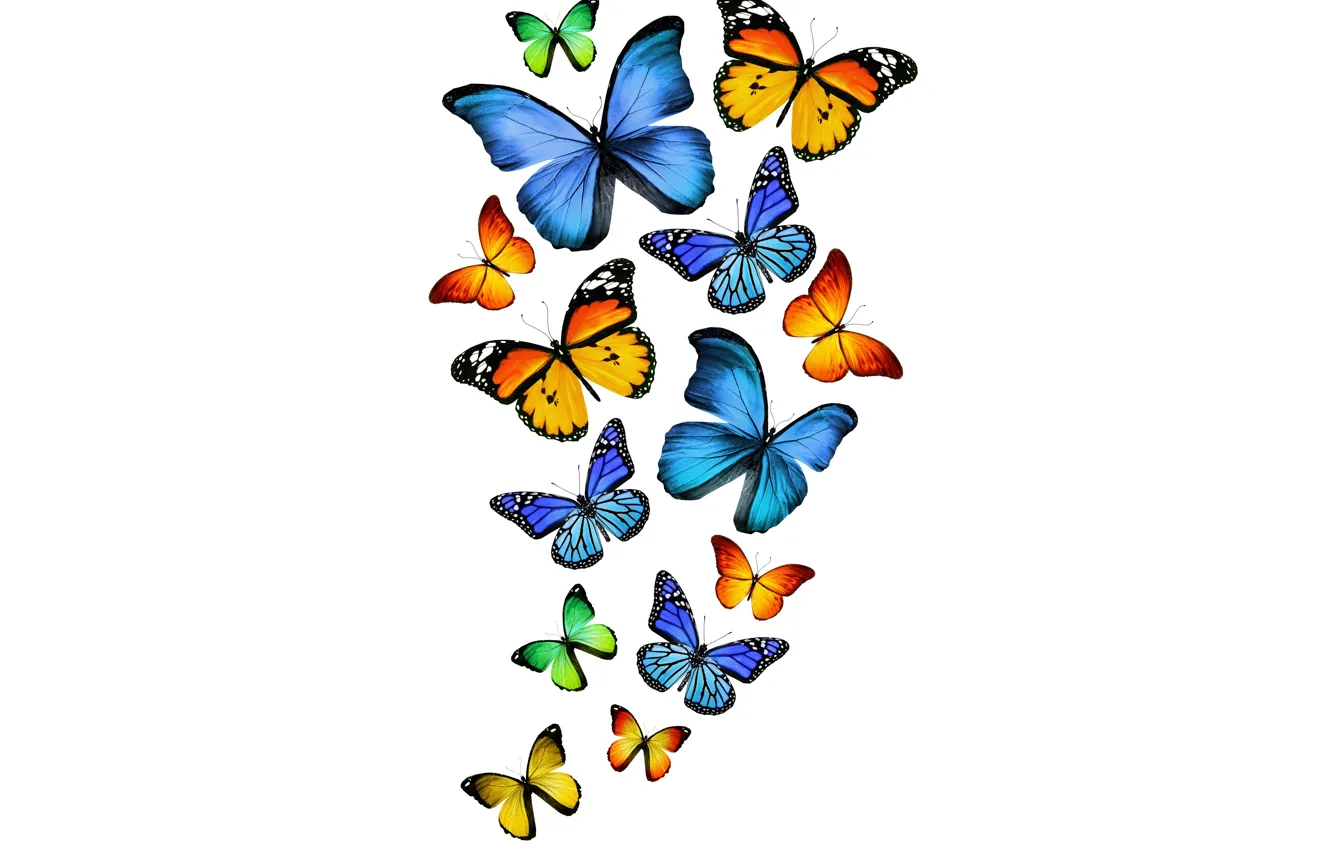 Фото обои бабочки, green, желтые, зеленые, синие, yellow, blue, butterflies