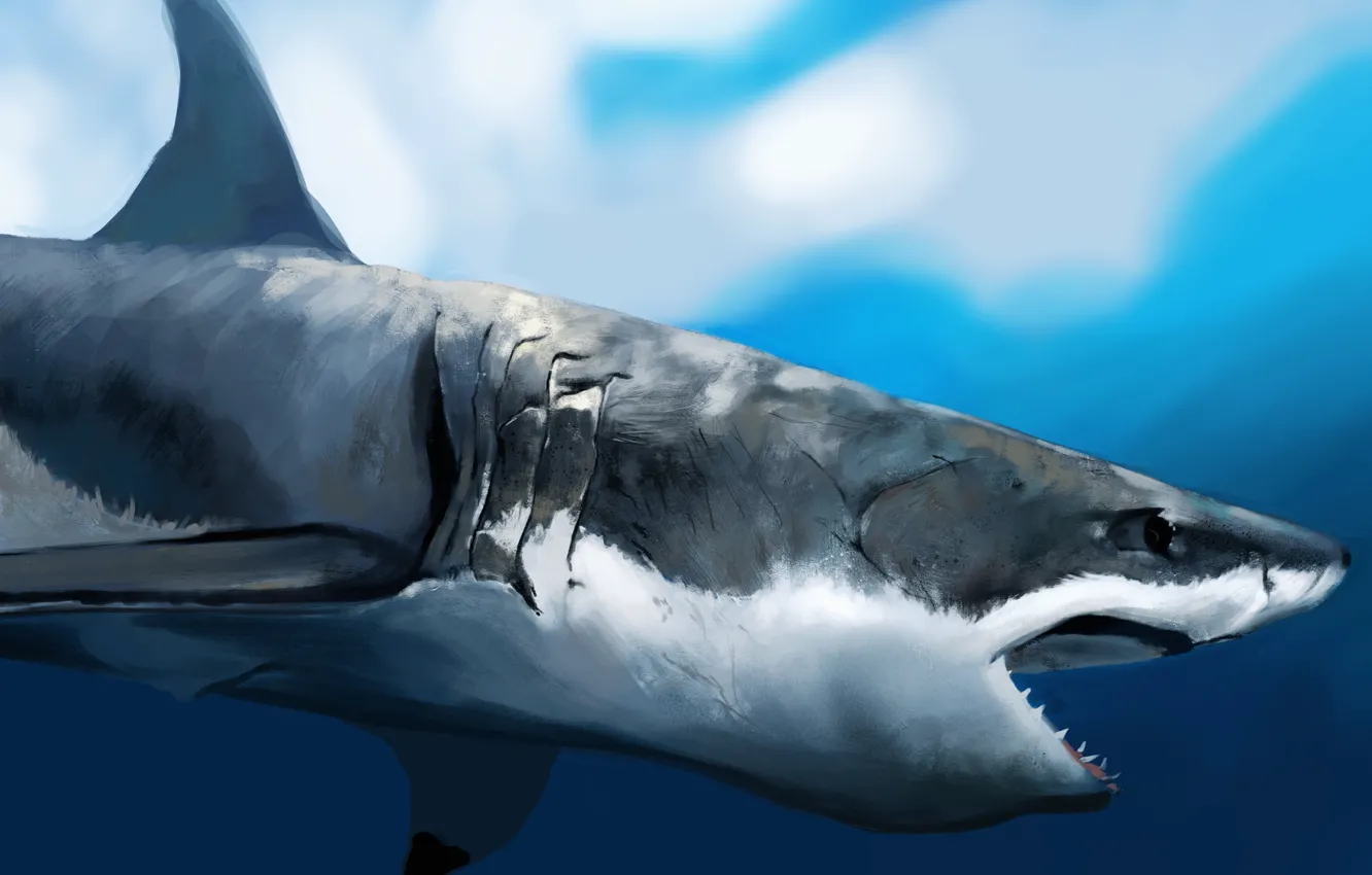 Фото обои акула, арт, пасть, профиль, под водой, голод