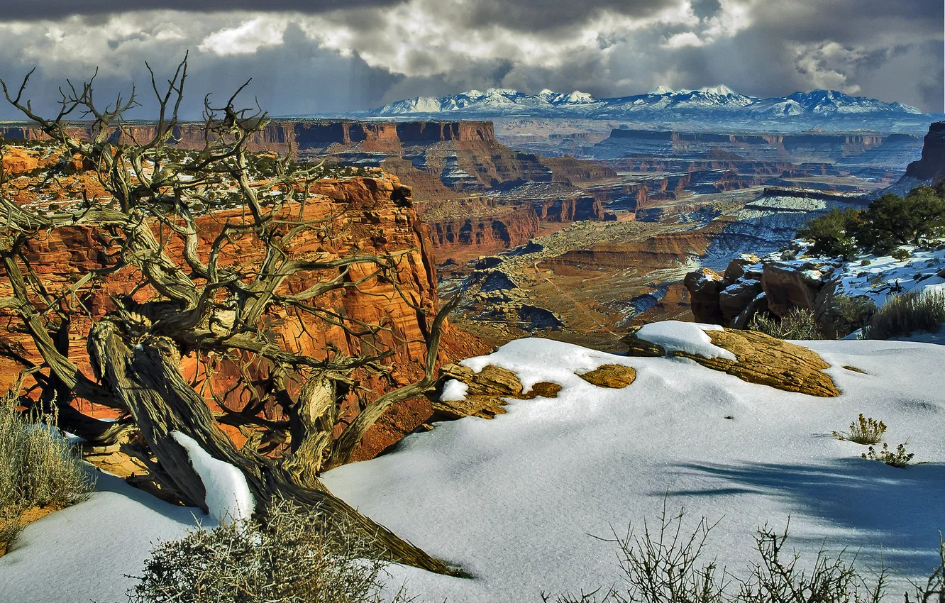 Фото обои снег, деревья, горы, скалы, каньон, Юта, США, Canyonlands National Park