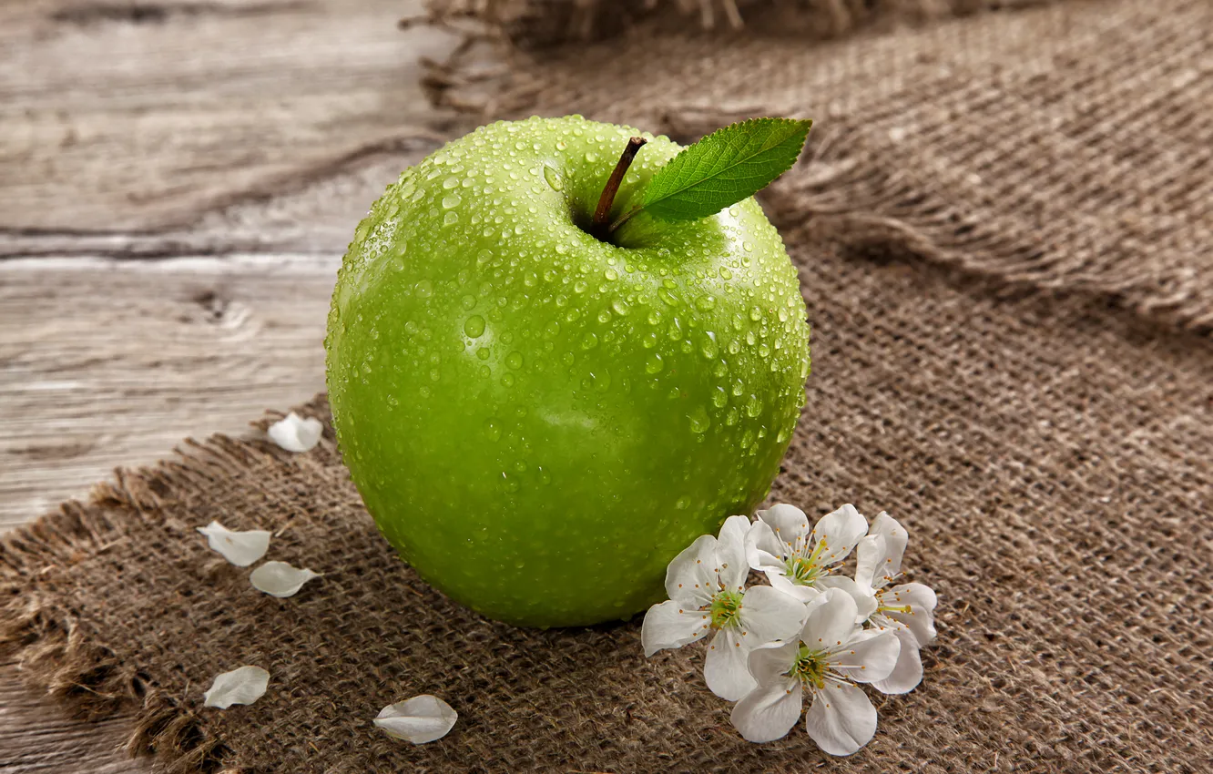 Фото обои цветы, капельки, лепестки, фрукт, зеленое яблоко