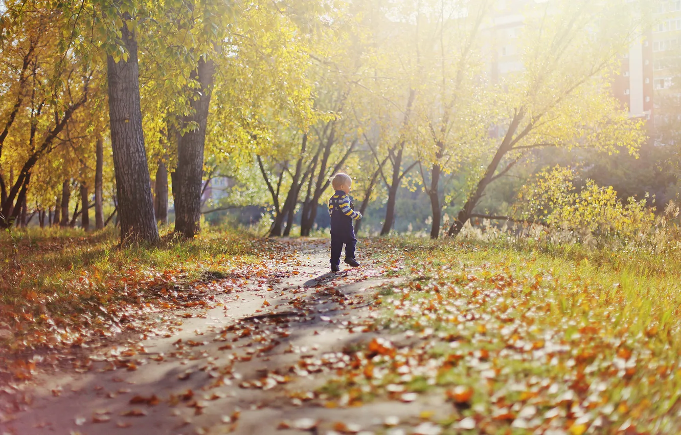 Фото обои листья, парк, прыжок, ребёнок