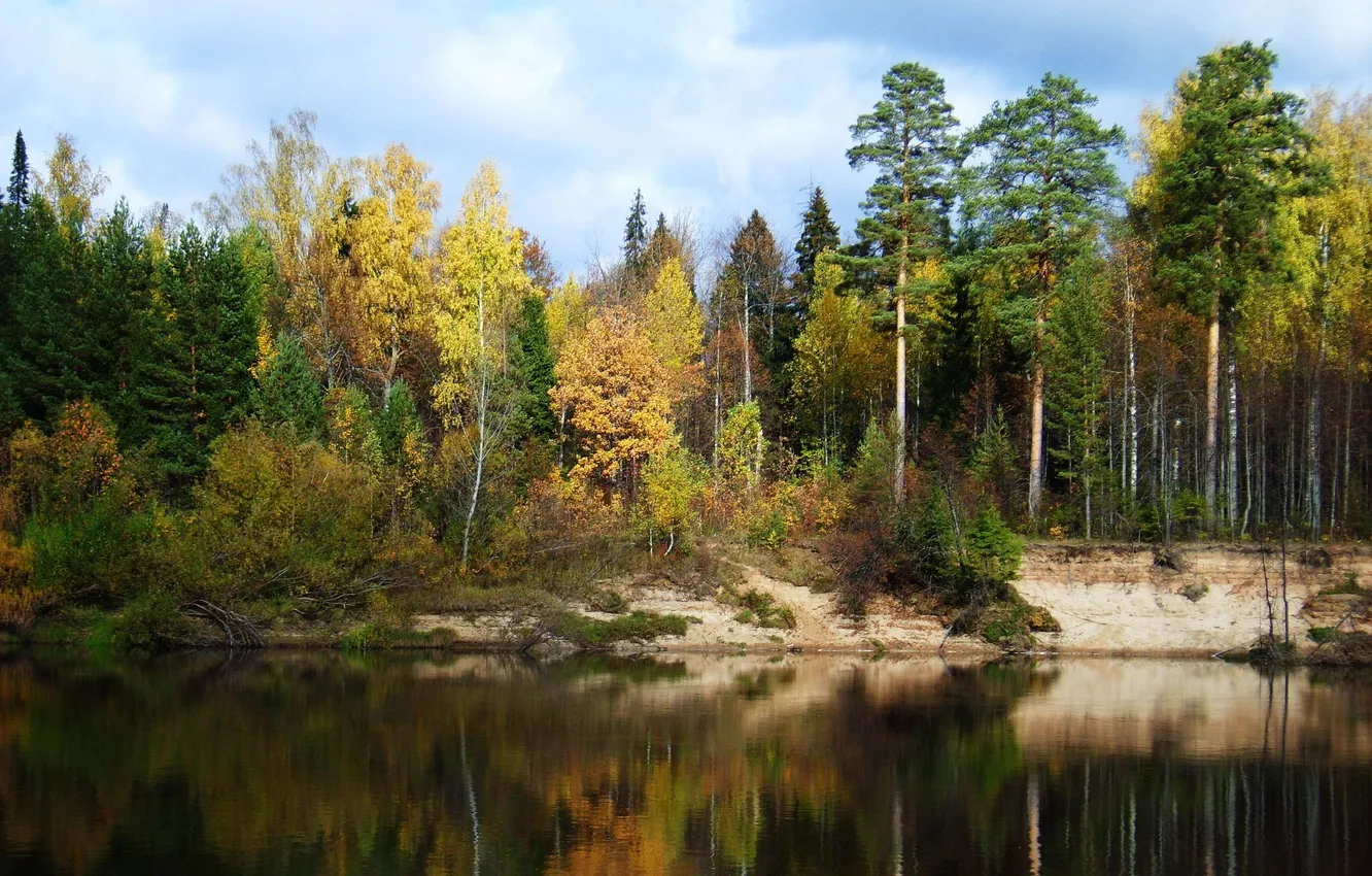 Фото обои осень, вода, деревья