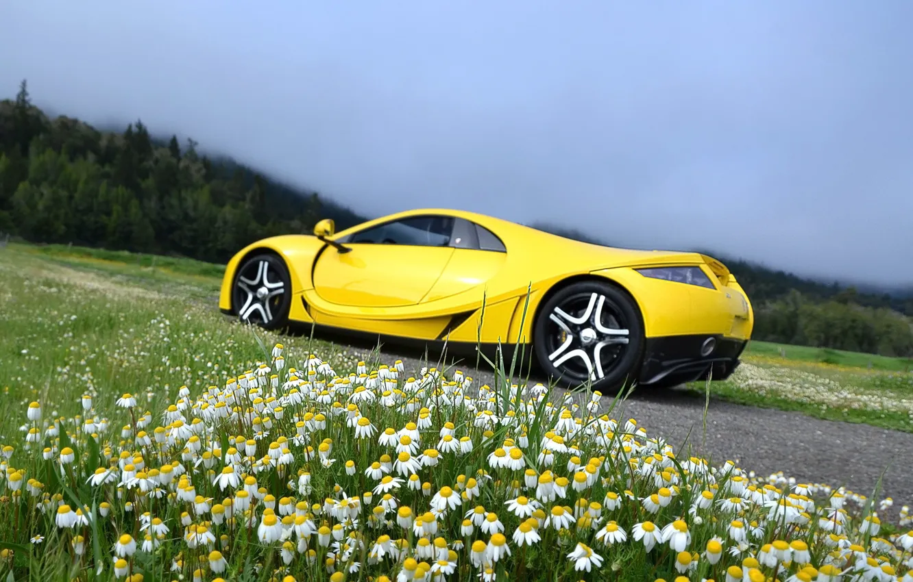 Фото обои ромашки, суперкар, Spania, GTA Spano