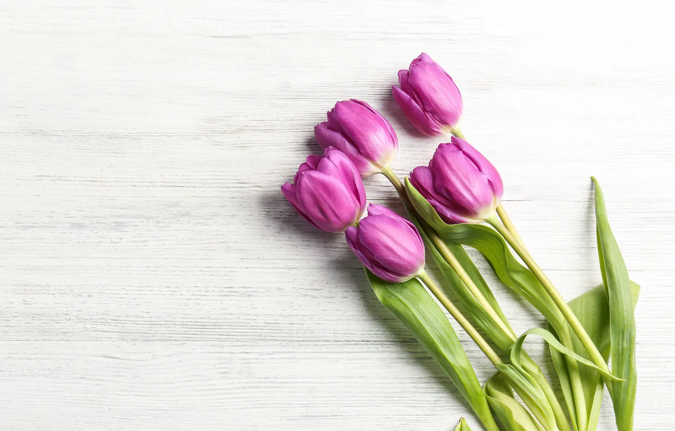 Фото обои цветы, букет, тюльпаны, wood, flowers, tulips, spring, purple