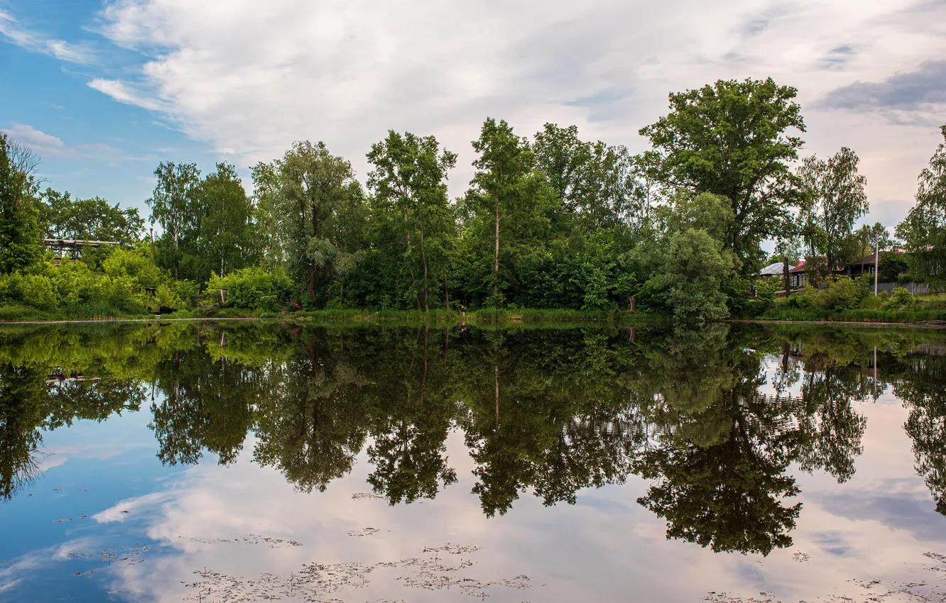 Фото обои лето, небо, вода, деревья, отражение, река, Россия, Васильев Владимир