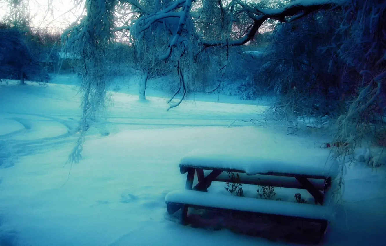 Фото обои снег, деревья, скамейка, парк, Зима, размытость, столик