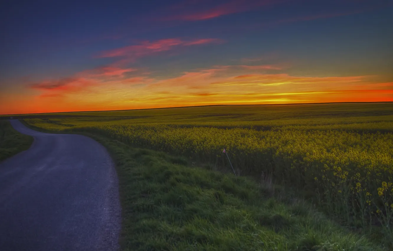 Фото обои дорога, поля, сумерки, сельская местность, фермы, оранжевое небо, поля цветов