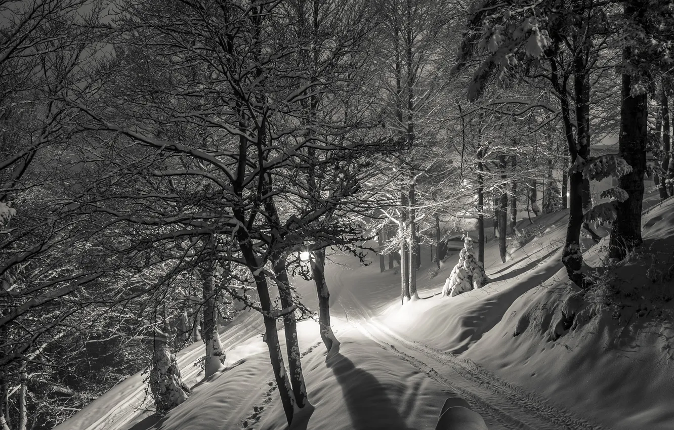 Фото обои зима, снег, ночь