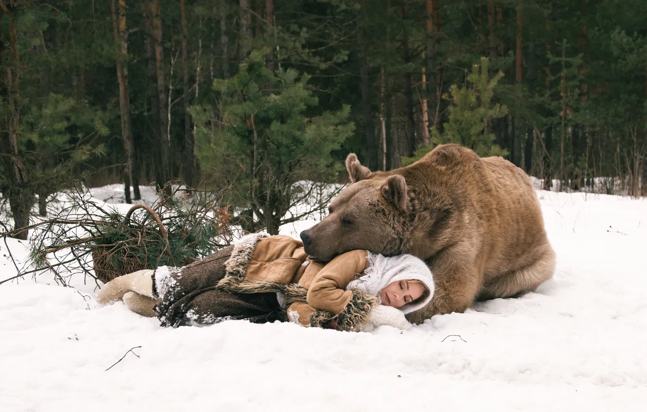 Фото обои зима, лес, девушка, сон, медведь