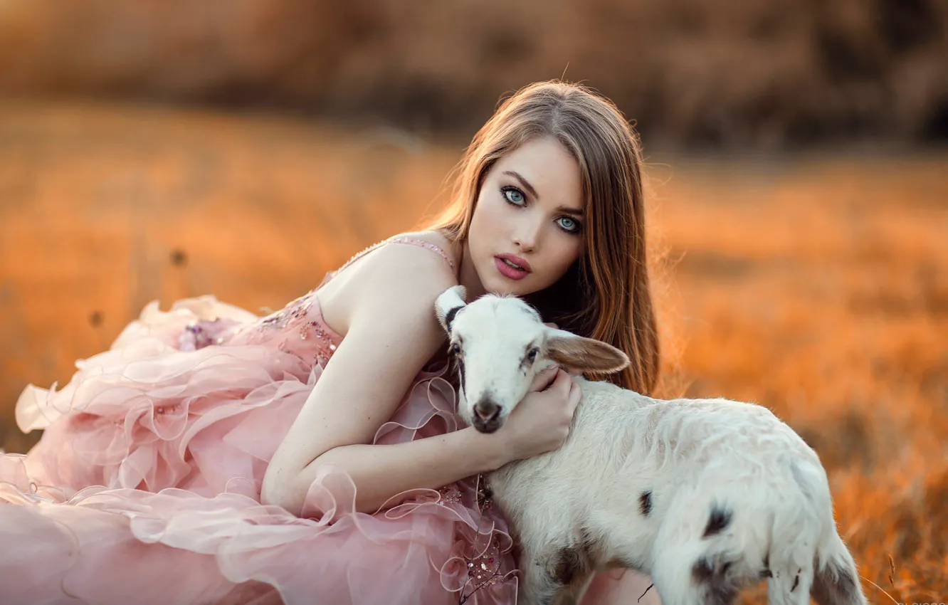 Фото обои girl, model, beauty, portrait, goat, lamb, photo by Alessandro di Cicco