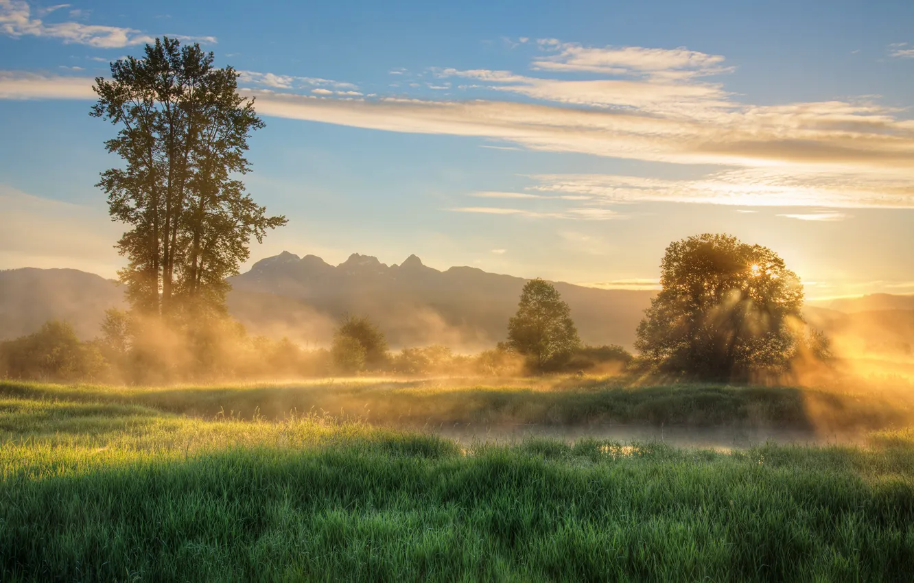 Фото обои небо, природа, туман, река, рассвет, утро, James Wheeler