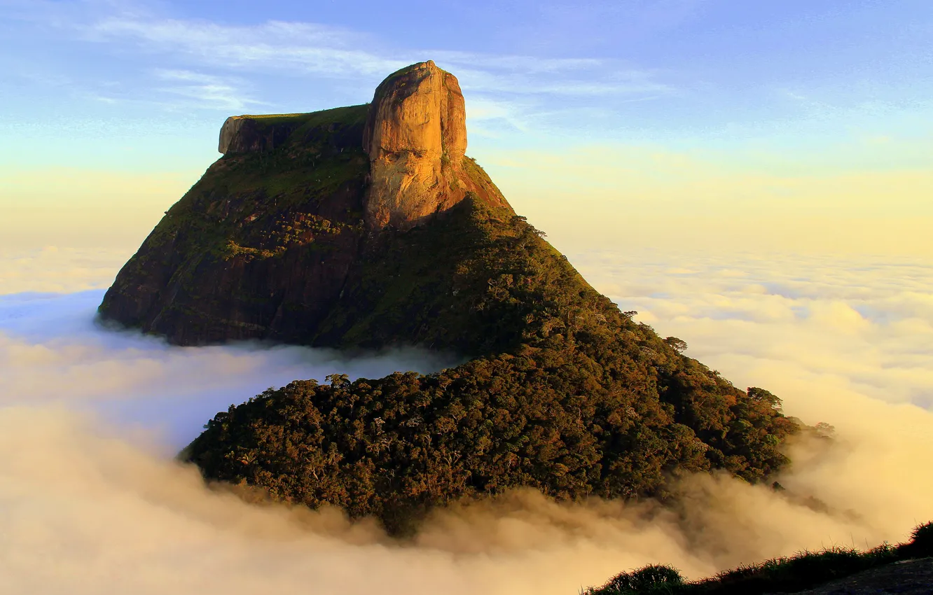 Фото обои лес, облака, rock, рок, Бразилия, Рио-де-Жанейро, clouds, Brasil