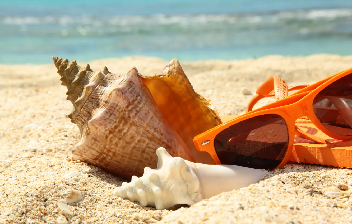 Фото обои песок, море, пляж, лето, отдых, ракушка, очки, summer