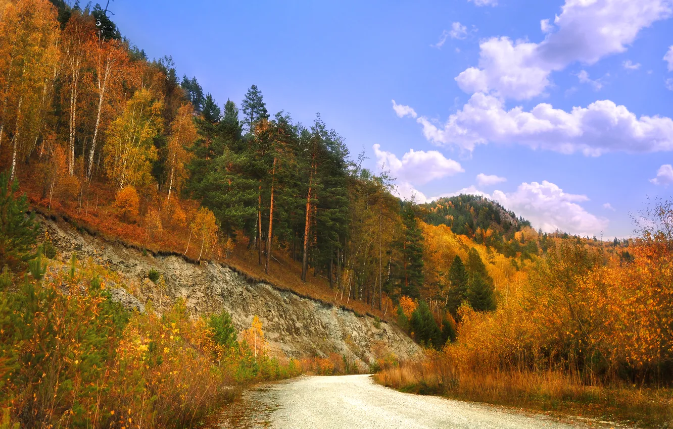 Фото обои дорога, осень, лес, небо, листья, облака, деревья, природа