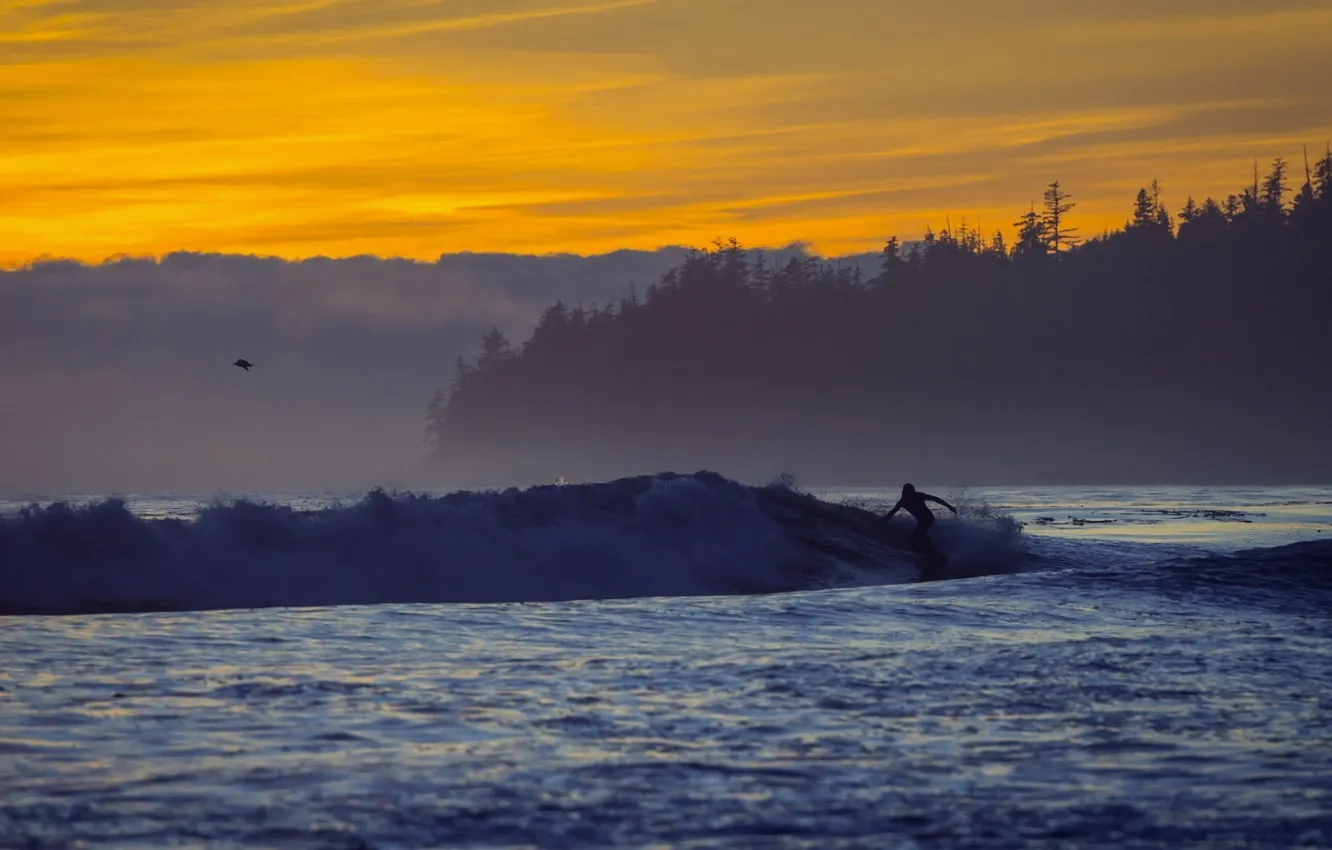 Фото обои sunset, surfer, sombrio beach