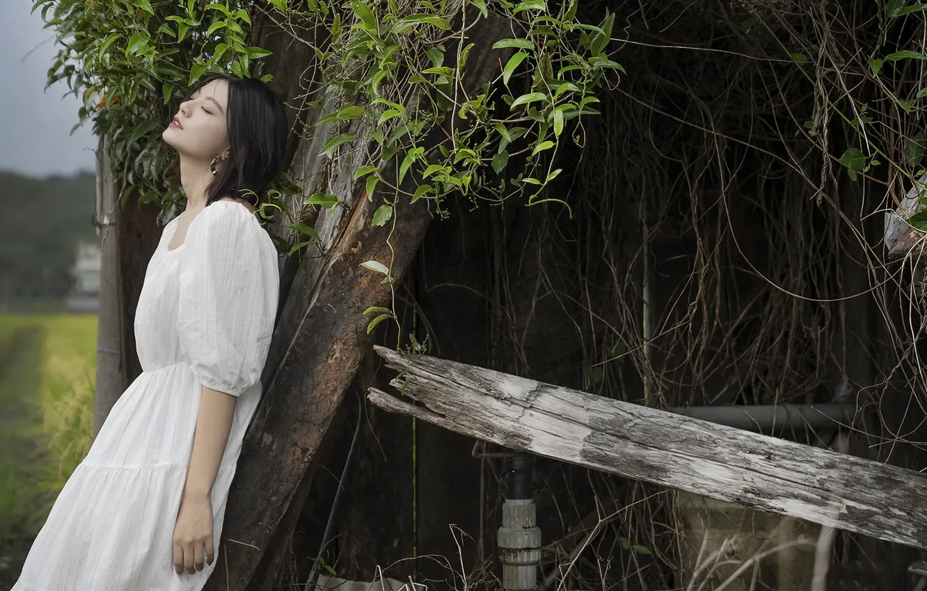 Фото обои лето, девушка, азиатка