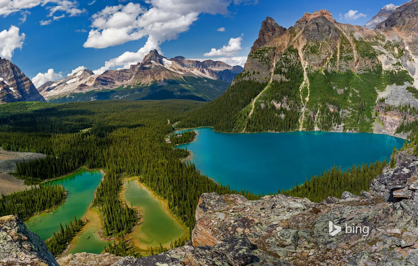 Фото обои деревья, горы, природа, Канада, Британская Колумбия, озеро О'Хара, Национальный парк Йохо