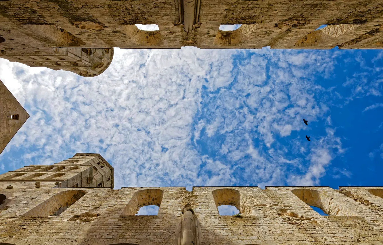 Фото обои небо, облака, птицы, Франция, архитектура, аббатство Жюмьеж