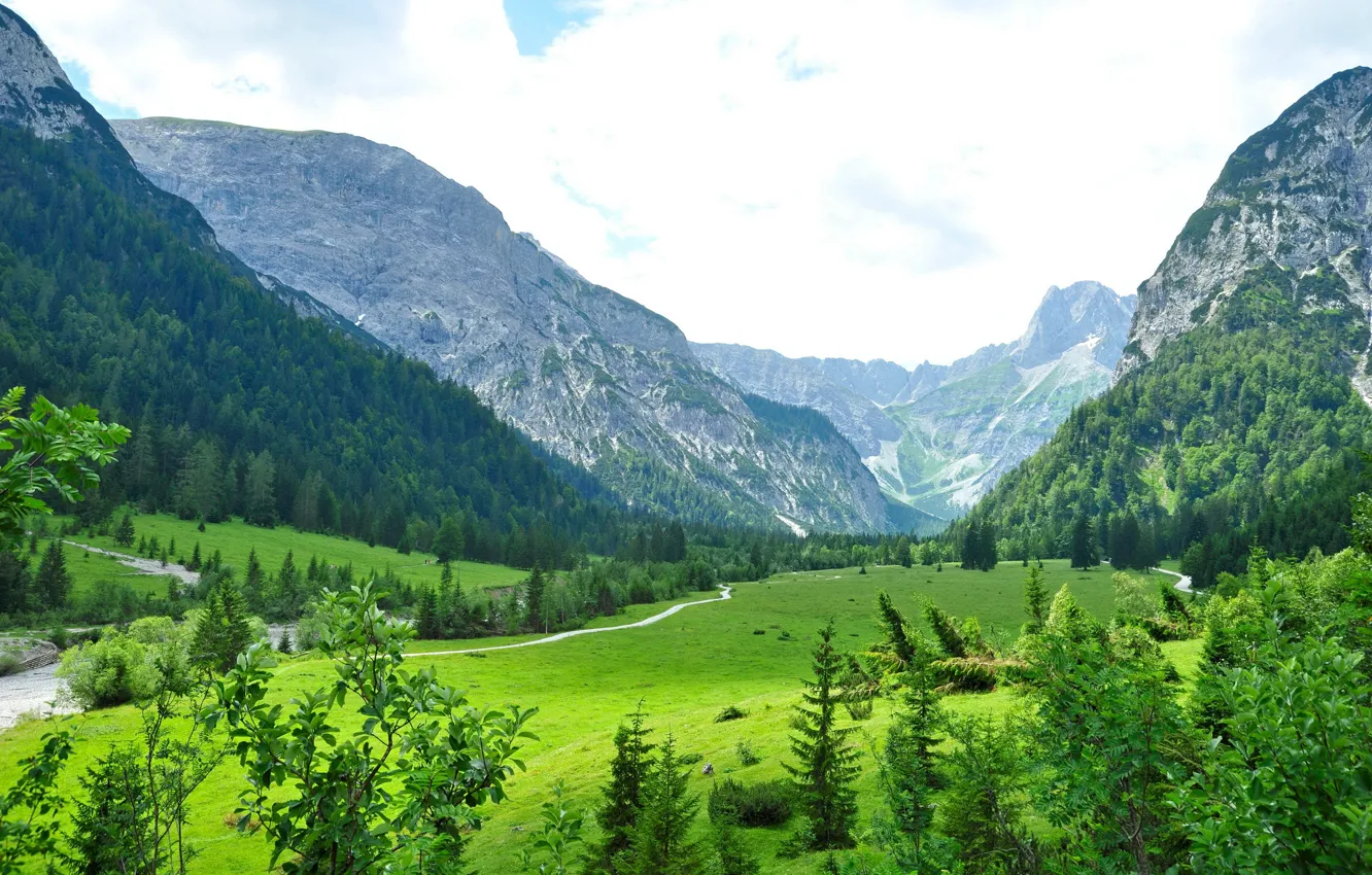 Фото обои деревья, пейзаж, Австрия, лес., Austria, Тироль, гры, Tyrol