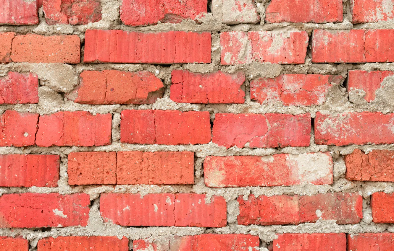 Фото обои wall, concrete, cement, Bricks