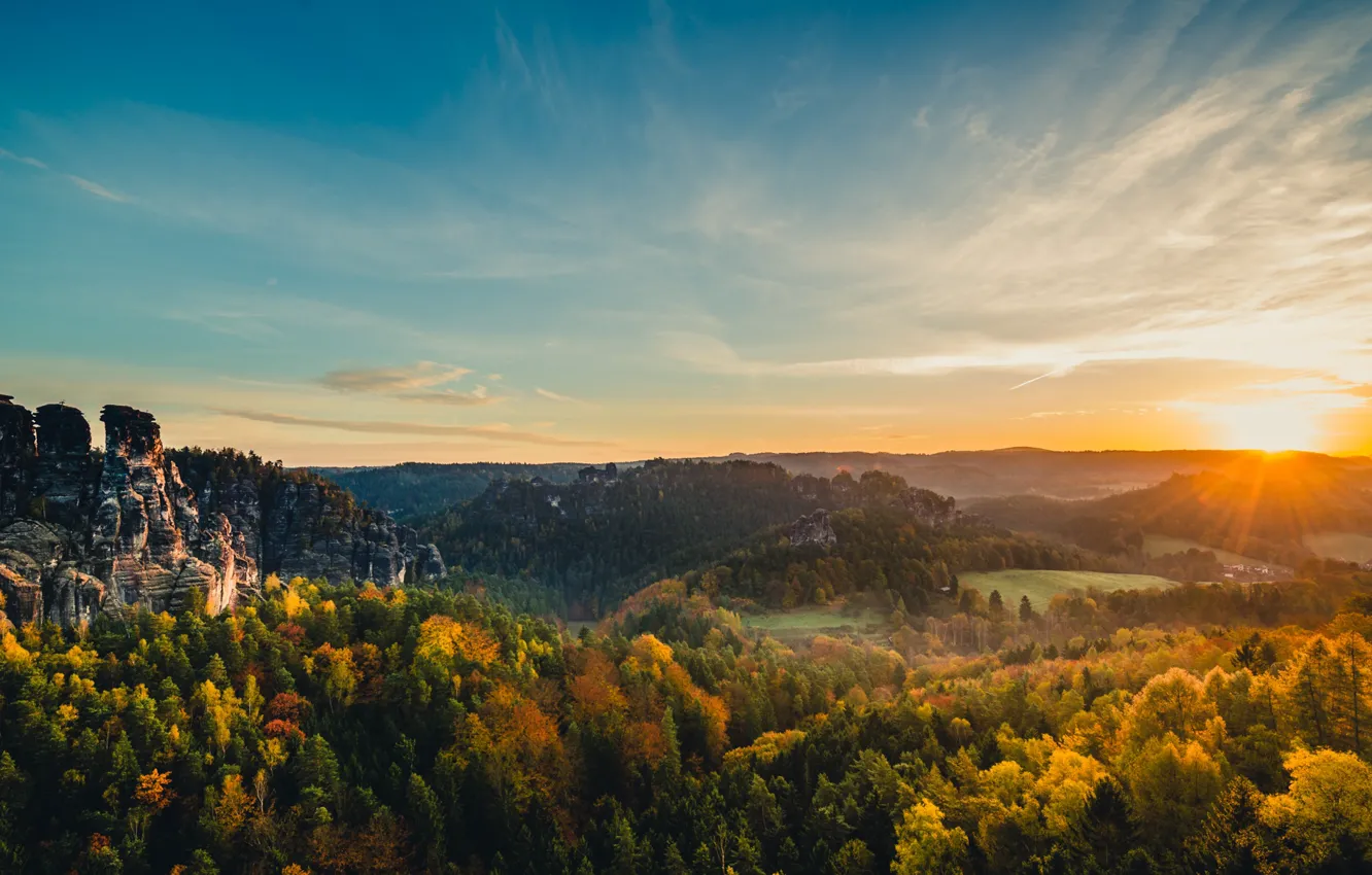 Фото обои лес, солнце, горы, скалы, Германия, Эльбские Песчаниковые горы