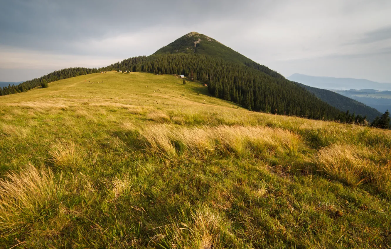 горы украины