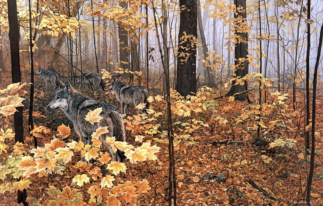 Фото обои осень, лес, животные, природа, желтые листья, волки, клён, живопись