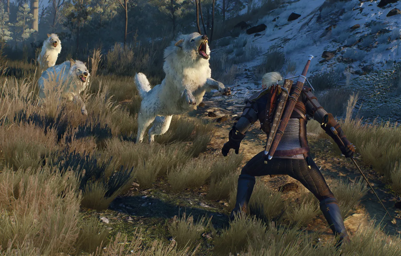 Фото обои Wolves, The Witcher, White, Wolf, Medieval, The Witcher 3, Wild Hunt, Geralt