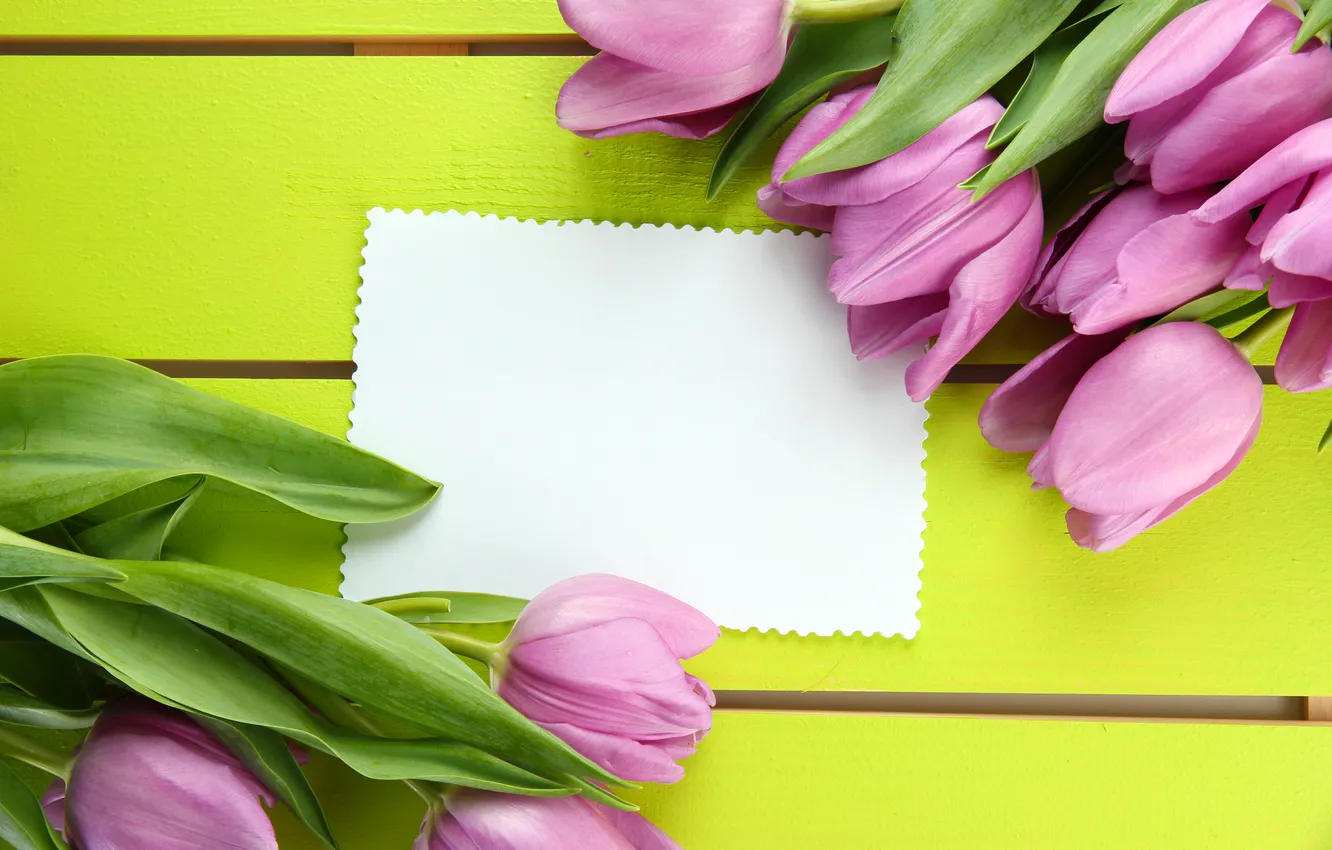 Фото обои цветы, букет, тюльпаны, розовые, wood, pink, flowers, beautiful
