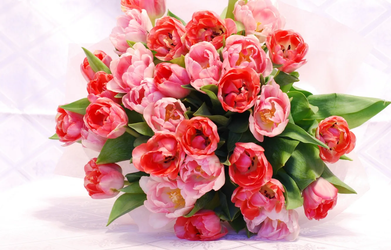Фото обои цветы, букет, весна, тюльпаны