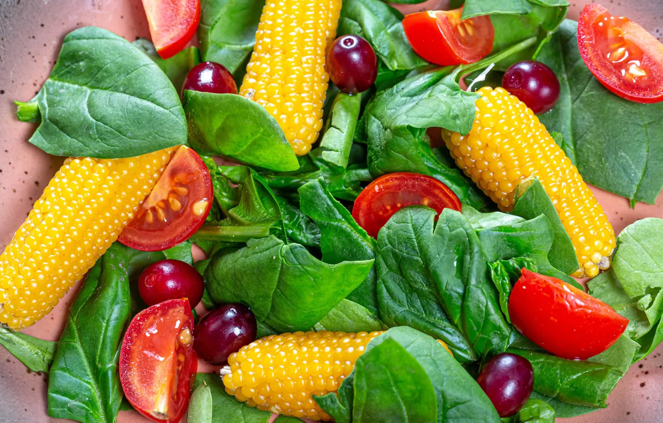 Фото обои кукуруза, виноград, помидоры, салат, листья салата