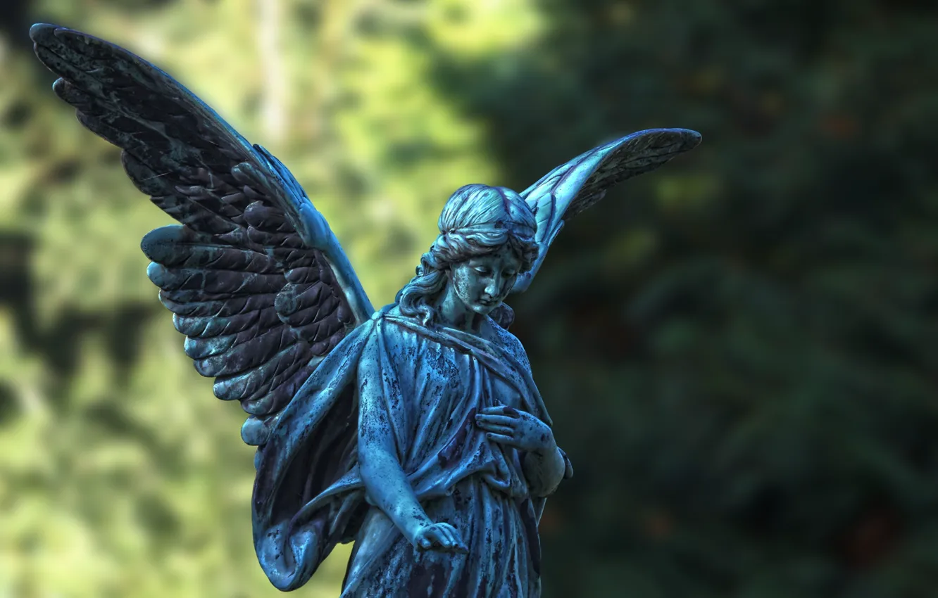 Фото обои крылья, ангел, статуя