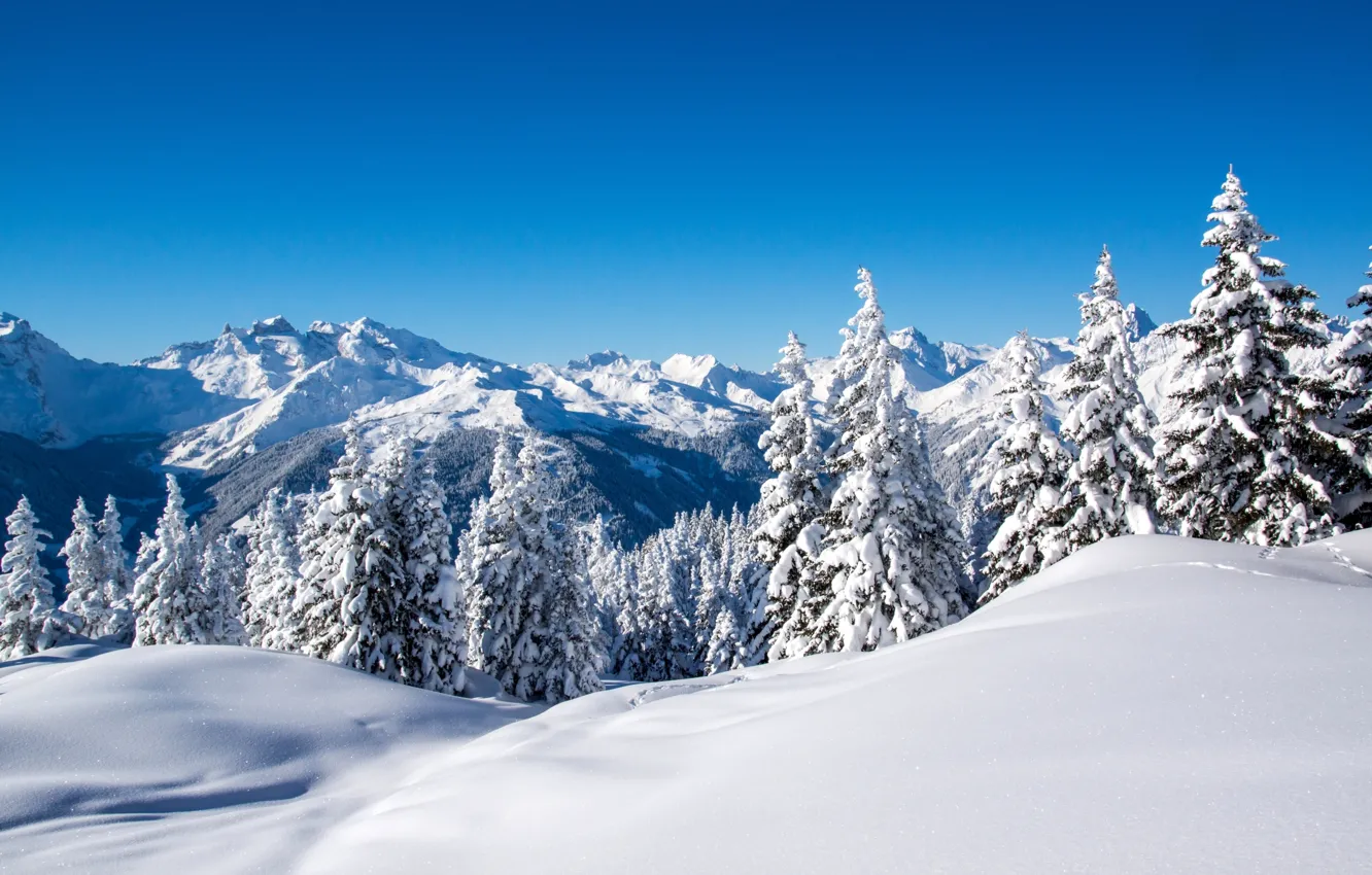 Фото обои зима, небо, снег, деревья, пейзаж, горы, природа, голубое