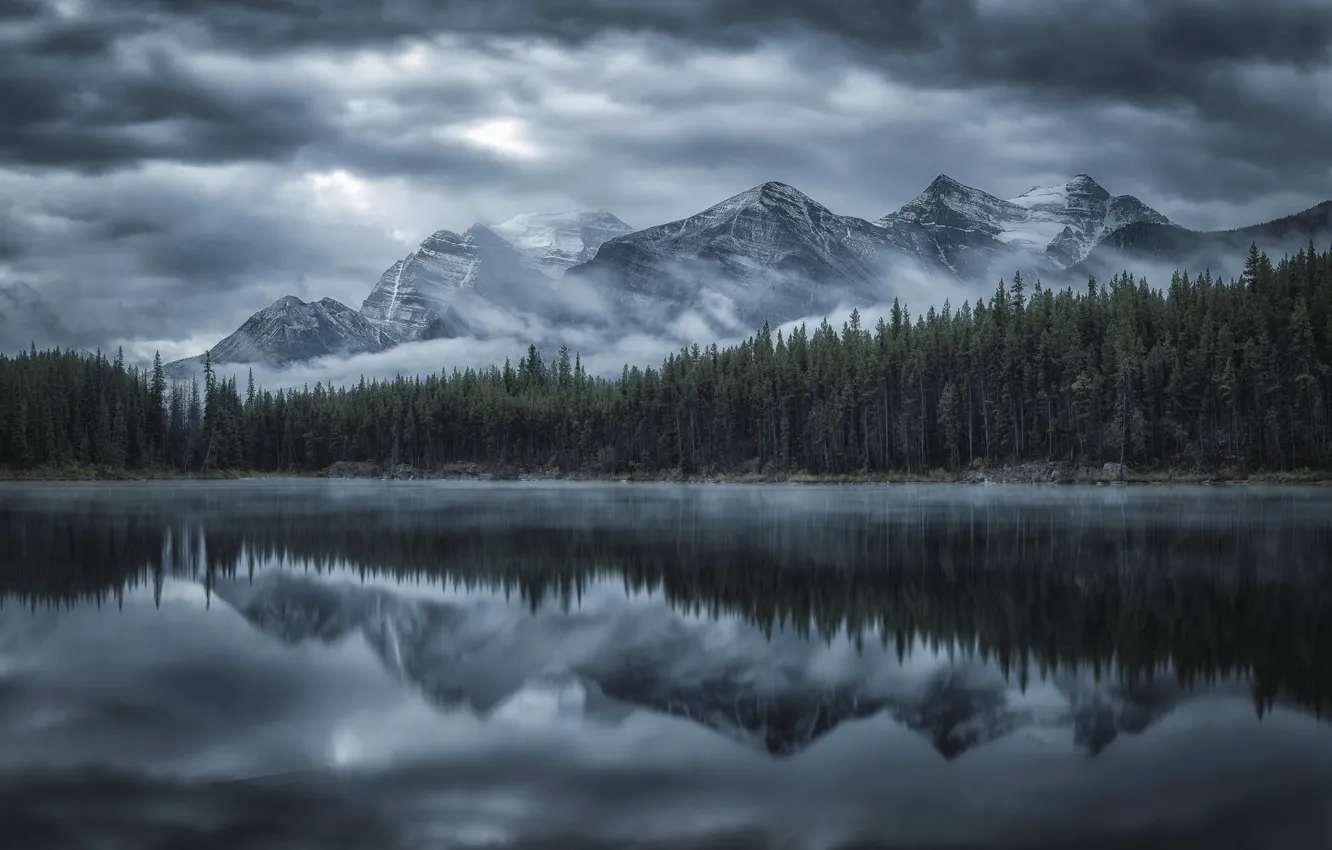 Фото обои лес, облака, отражения, горы, туман, озеро, река