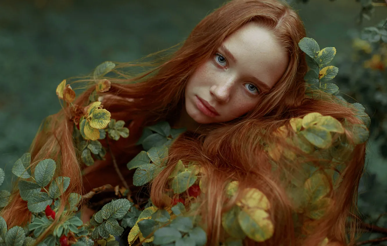 Фото обои взгляд, листья, девушка, лицо, портрет, веснушки, рыжая, рыжеволосая