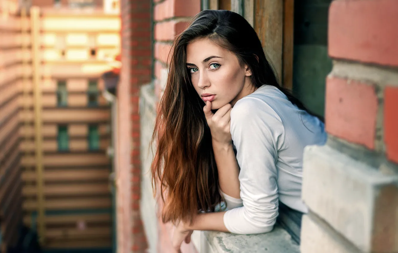 Фото обои windows, model, look, pose