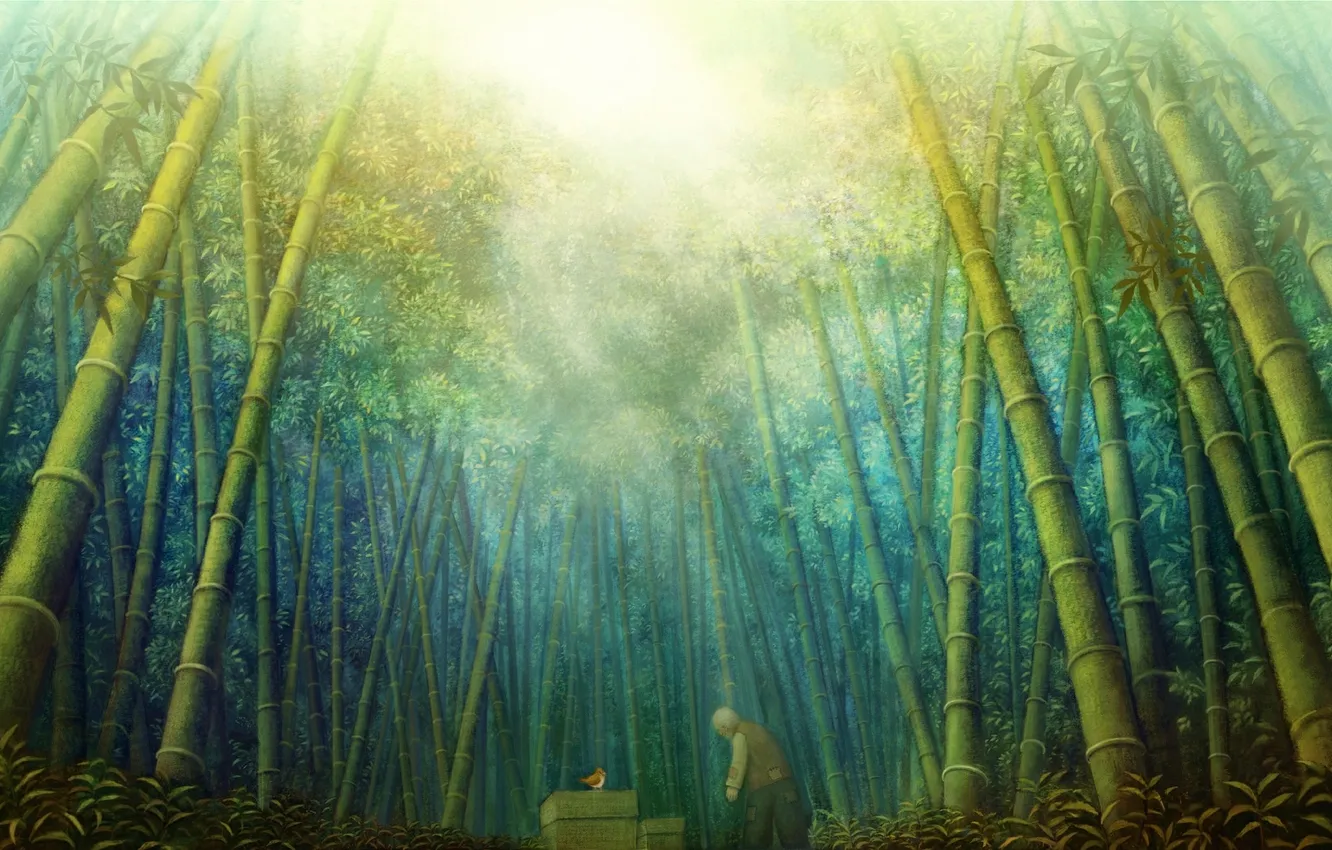 Фото обои лес, листья, солнце, природа, аниме, бамбук, арт, птичка