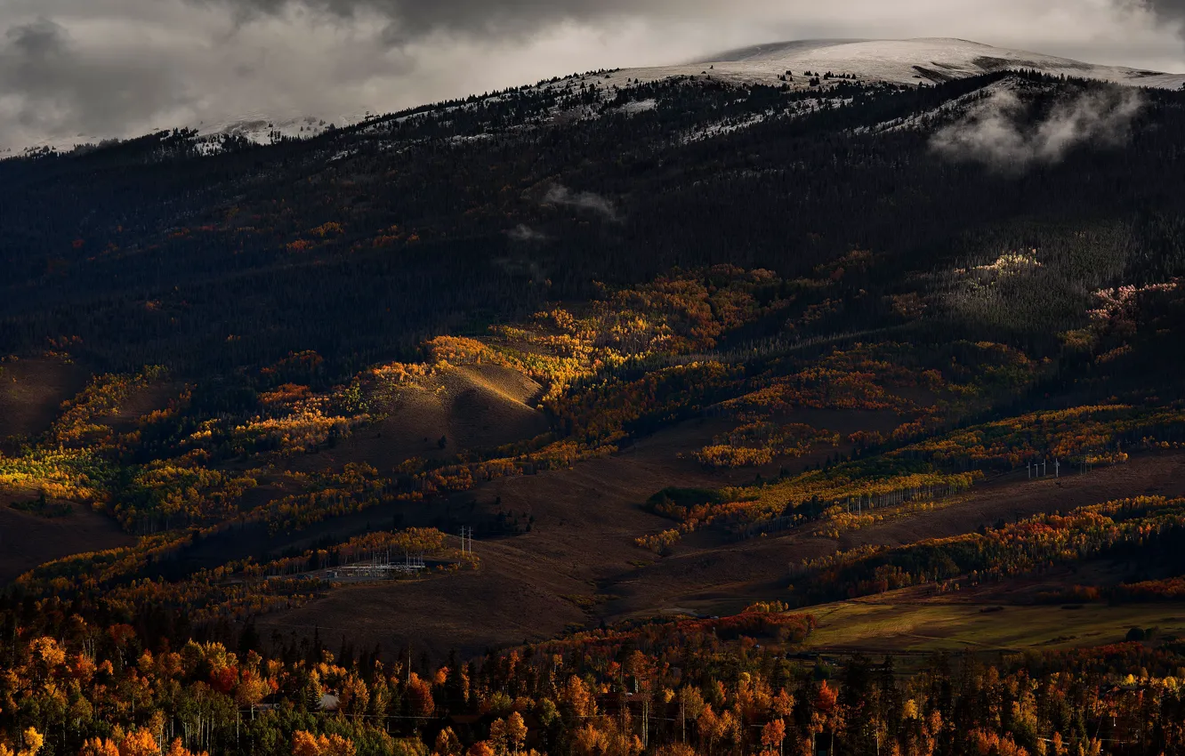 Фото обои осень, лес, деревья, горы, темный фон, пасмурно, холмы, склоны