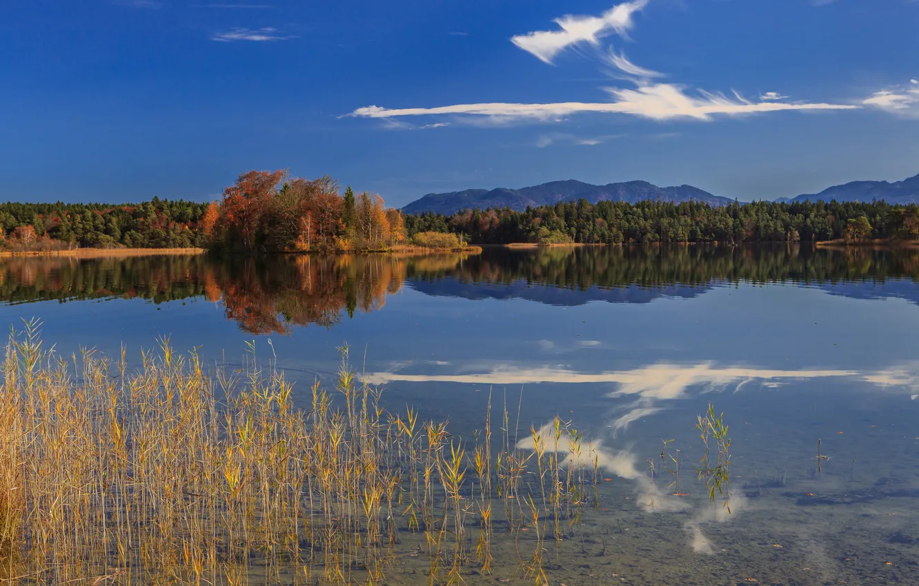 Фото обои осень, лес, горы, озеро, отражение, Германия, Бавария, Germany