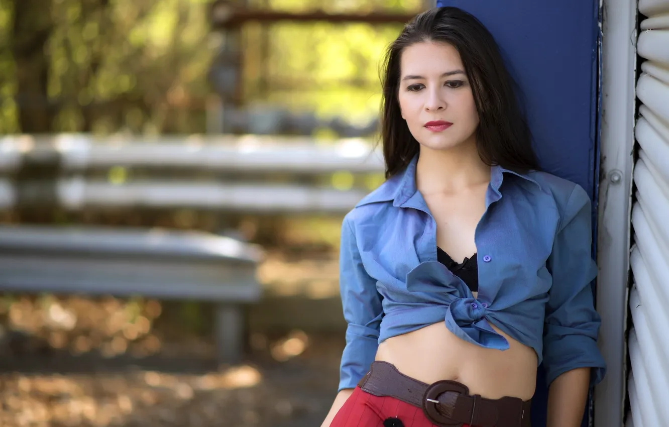 Фото обои девушка, фон, Sheba