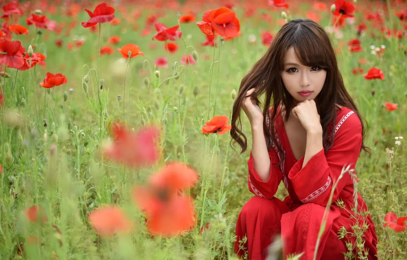 Фото обои поле, лето, взгляд, лицо, модель, волосы, мак