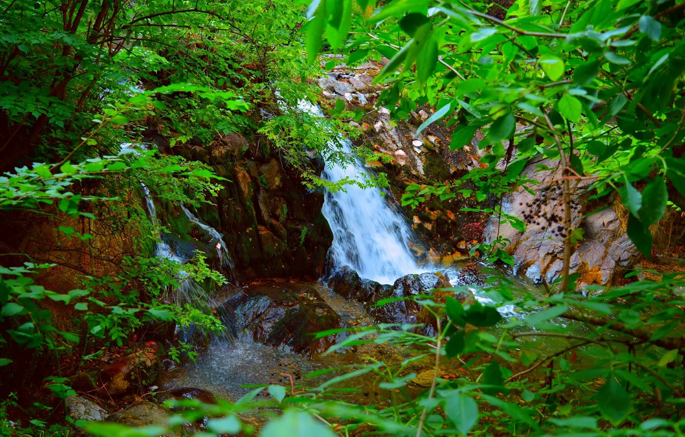 Фото обои Природа, Поток, Водопад, Камни, Nature, Waterfall, Flow