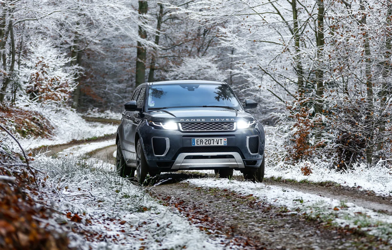 Фото обои зима, снег, фары, Range Rover, Evoque, Autobiography, Si4