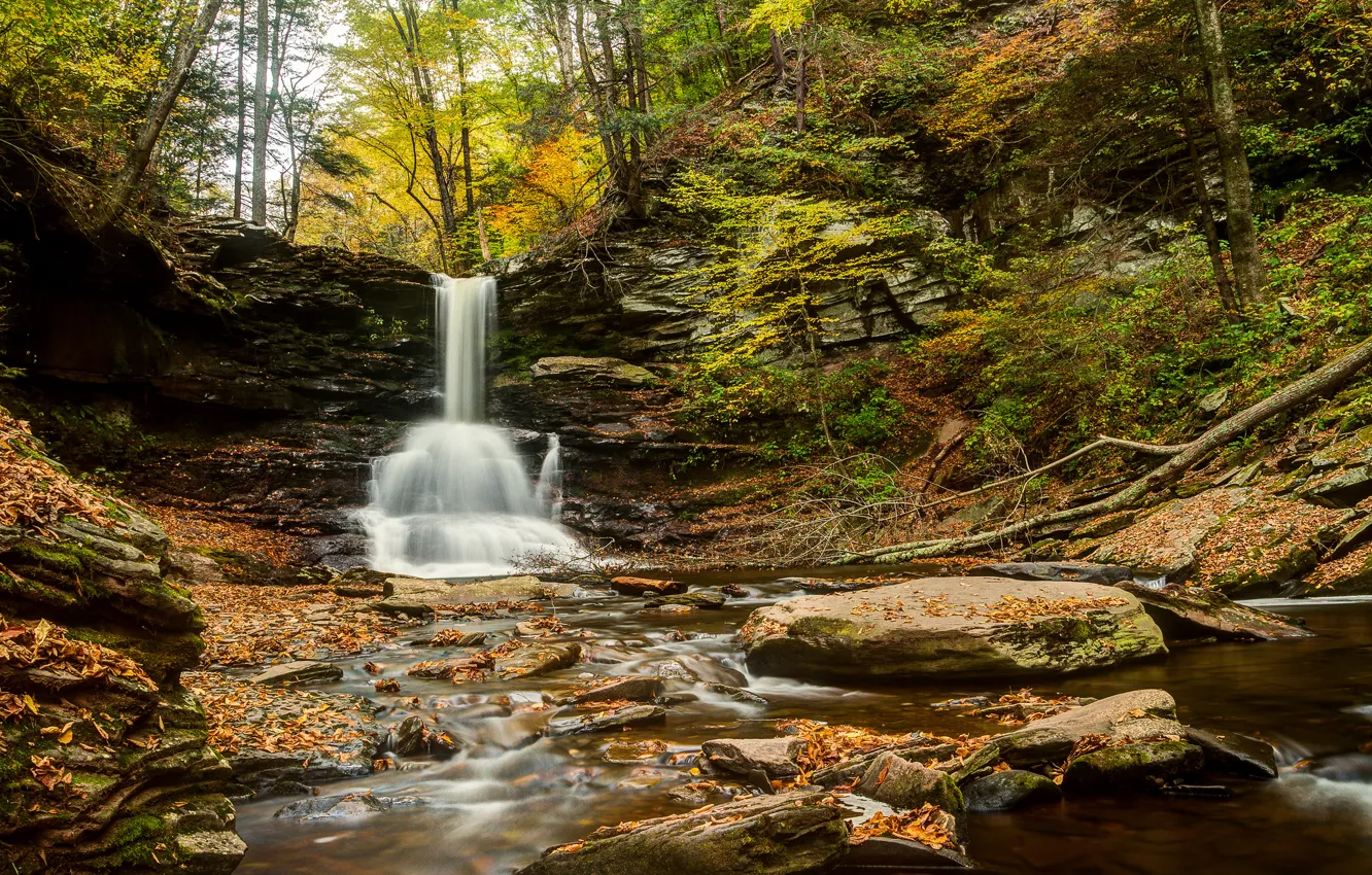 Фото обои осень, лес, река, камни, водопад, Пенсильвания, Pennsylvania, Sheldon Reynolds Falls