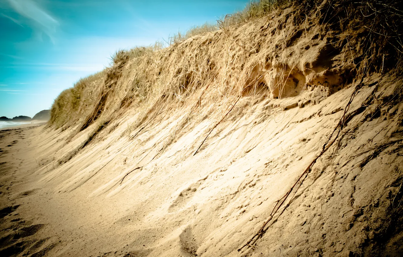 Фото обои песок, море, трава, вода, природа, корни, люди, океан