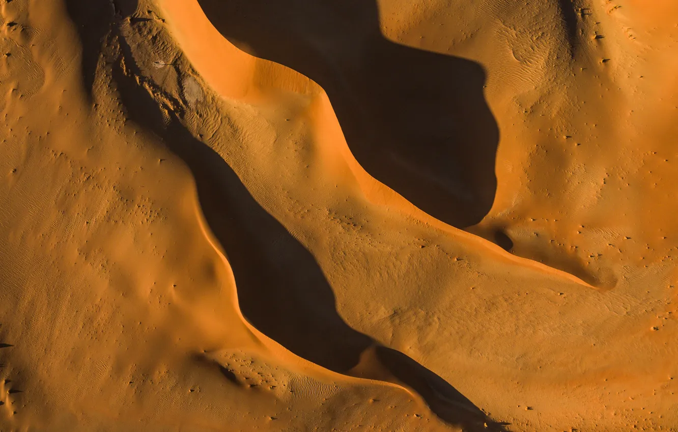 Фото обои desert, sunset, sand, dune